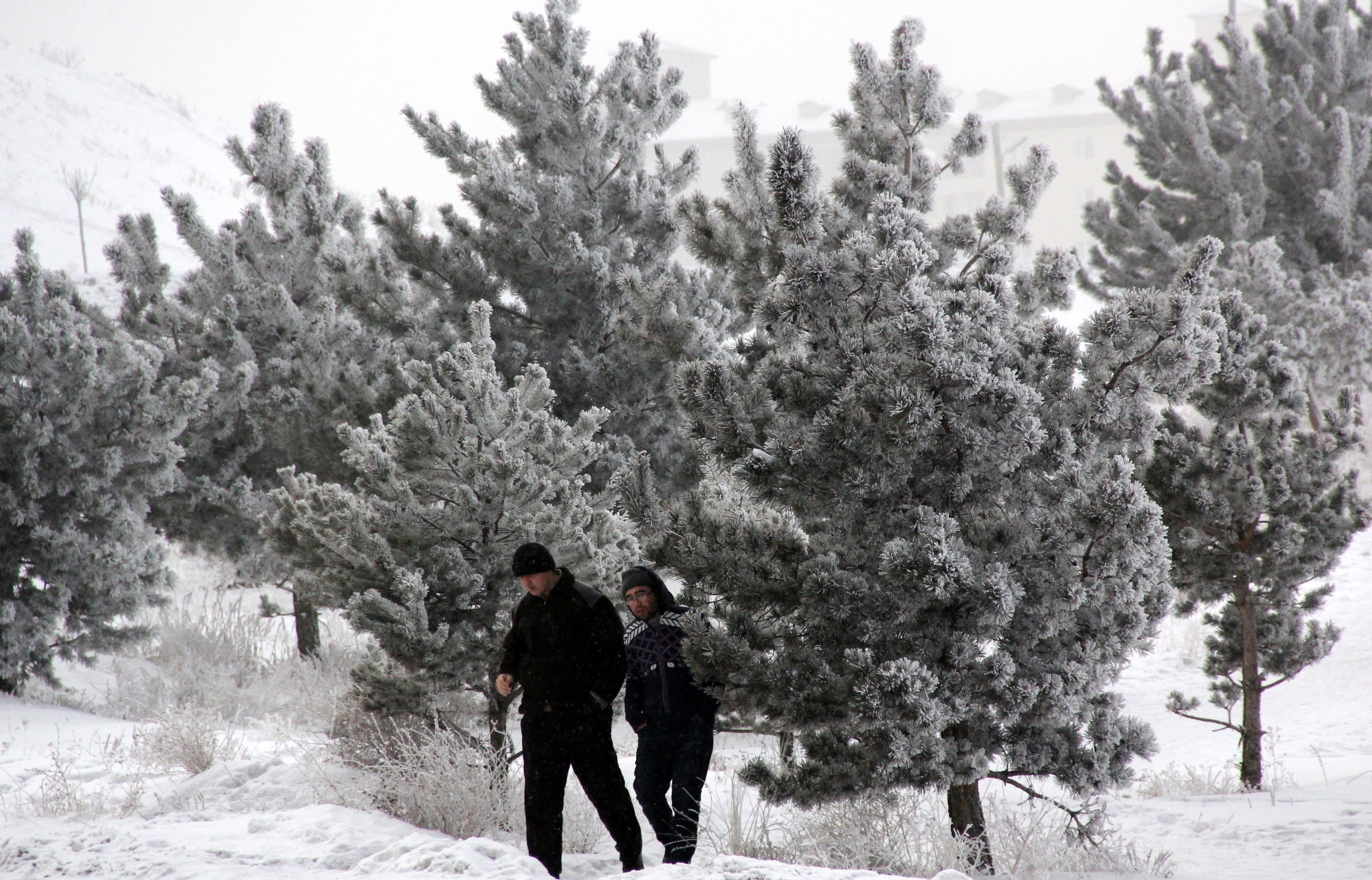 Doğu Anadolu’da soğuk hava: Göle - 14