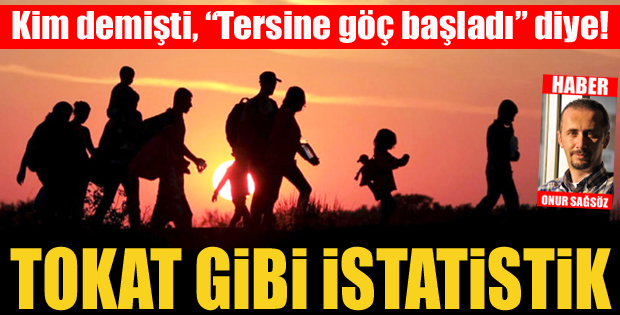 Tokat gibi istatistik