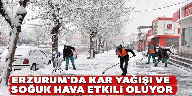 Erzurum ve Kars'ta kar yağışı kentleri beyaza bürüdü