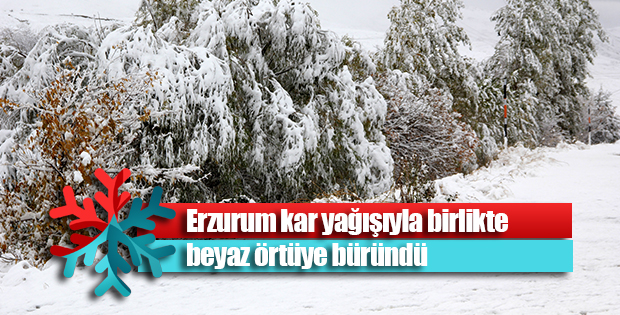 Erzurum kar yağışıyla beyaza büründü