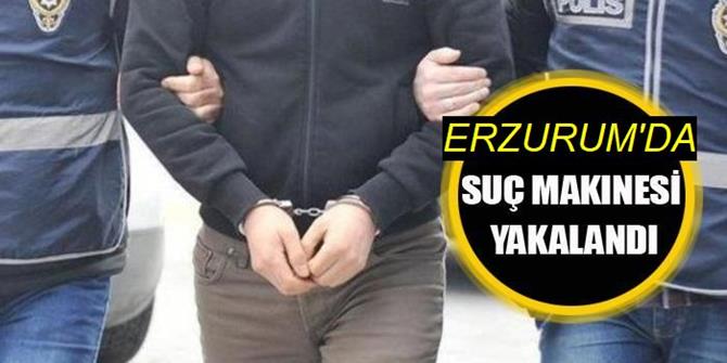 "Dolandırıcılık" ve "hırsızlık"tan sabıkalı cezaevi firarisi hükümlü Erzurum'da yakalandı