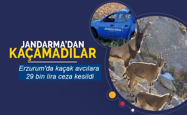 Erzurum'da kaçak avcılara 29 bin lira ceza kesildi