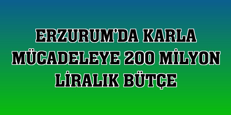 Erzurum'da karla mücadeleye 200 milyon liralık bütçe