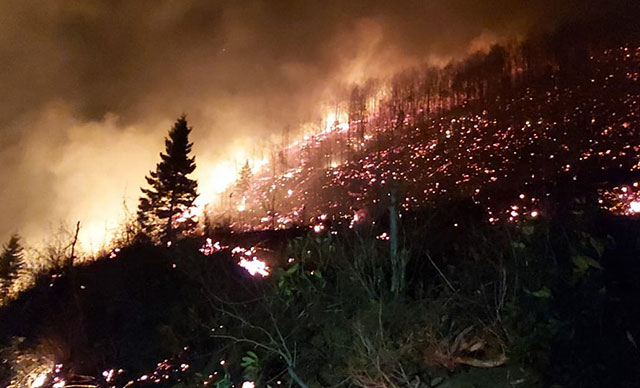 Bakan Pakdemirli'den Karadeniz'deki yangınlara ilişkin flaş açıklama