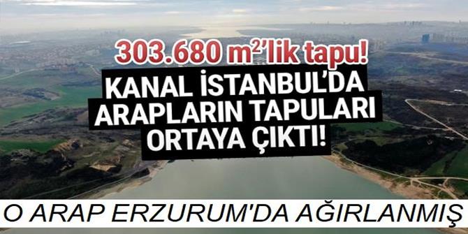 Araplara ait tapular ortaya çıktı