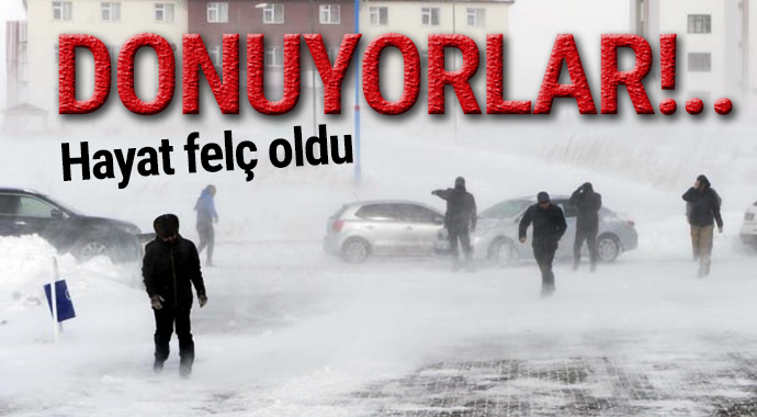 Doğu Anadolu'da dondurucu soğuklar etkili oluyor