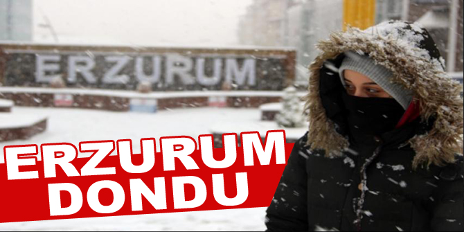 Erzurum'da hayat dondu