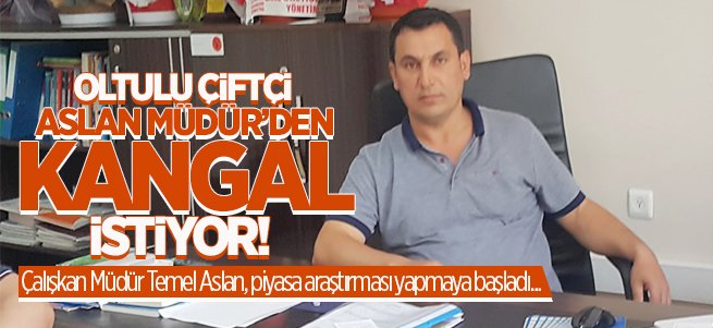 Oltulu Çiftçi Aslan Müdür'den Kangal İstiyor!