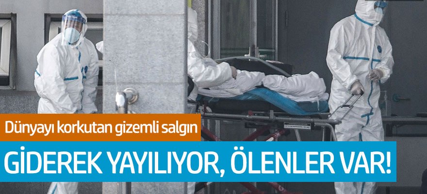 Dünyayı korkutan gizemli salgın! Giderek yayılıyor, ölenler var