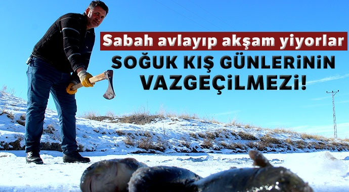 Soğuk kış günlerinin vazgeçilmez aktivitesi: Eskimo usulü balık avı