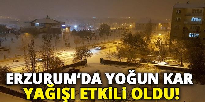 Erzurum’da kar yağışı etkili oldu