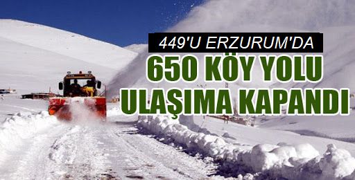 Doğu Anadolu'daki 7 ilde 650  köy ve mahalle yolunda ulaşım sağlanamıyor