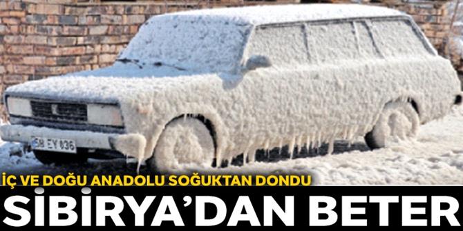 Sibirya’dan beter