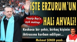 Tayyip Bey`e arzuhalimdir