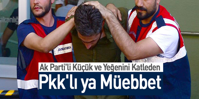 AK Parti'li Küçük ve yeğenini katleden PKK'lı teröriste ağırlaştırılmış müebbet istemi