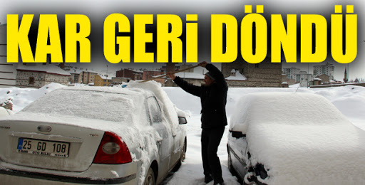 Doğu Anadolu'da kar yağışı etkili oldu