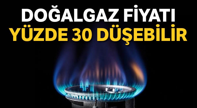 Doğalgaz fiyatı yüzde 30 düşebilir