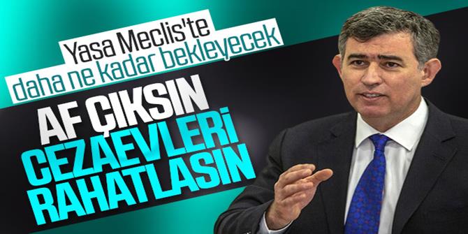 Metin Feyzioğlu'ndan af çağrısı: