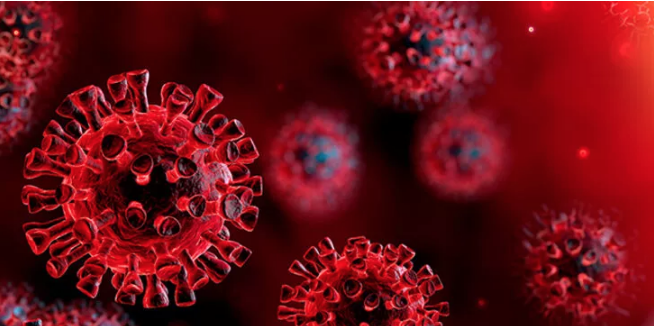 Dünya Sağlık Örgütü koronavirüs aşısı için tarih verdi!