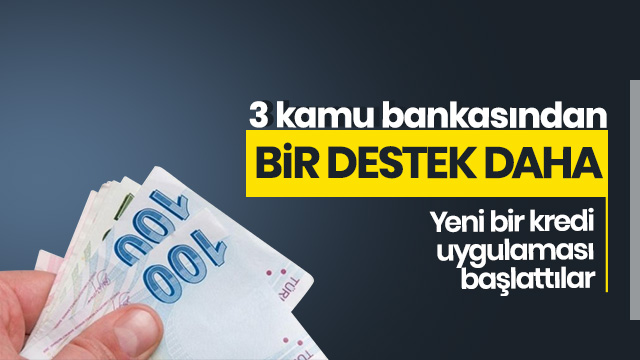 3 kamu bankasından bir destek daha!