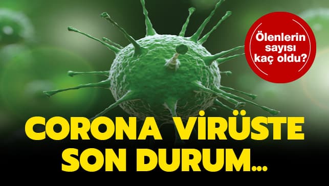 Bodrum’da corona virüsünden iki ölüm daha