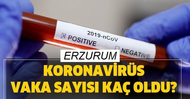 Erzurum'da corona virüsü vaka ve ölüm sayısı kaç?