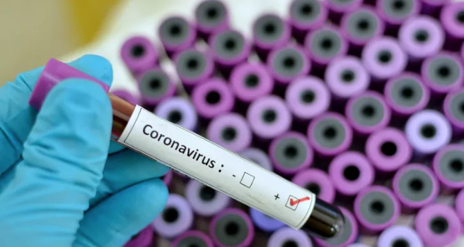 Koronavirüs aşısında ilk adım atıldı!