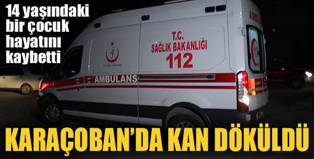 Karaçoban'da çocukların oyununda kan döküldü