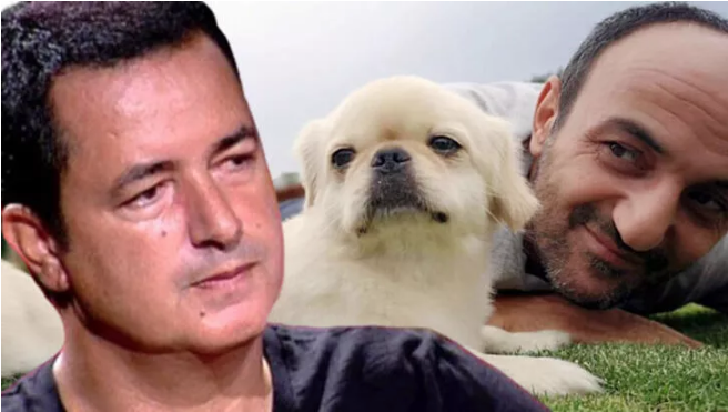 Acun Ilıcalı'dan Ersin Korkut’un ölen köpeği hakkında ilk yorum