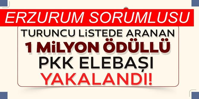 1 milyon TL ödülle aranan terörist yakalandı