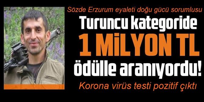 Teröristin korona virüs testi pozitif çıktı