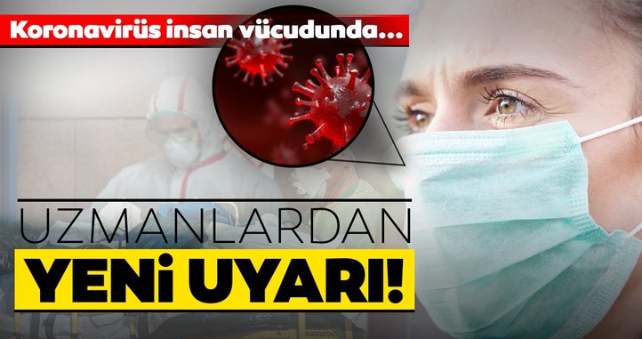 ABD'li uzmanlar yeni bulgulara rastladığını iddia etti!