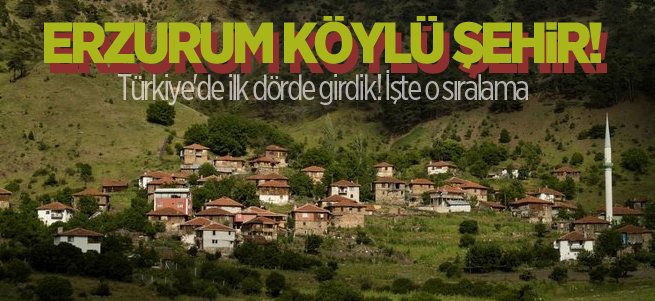 Erzurum en çok köyü olan dördüncü şehir