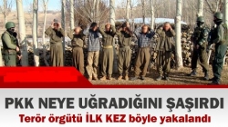 PKK neye uğradığını ŞAŞIRDI
