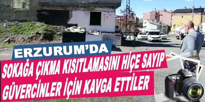 Sokağa çıkma kısıtlamasını hiçe sayıp, güvercinler için kavga ettiler