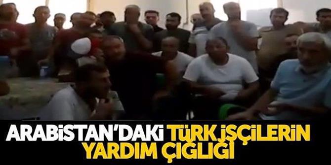 Arabistan’dan Türkiye'ye gelmek isteyen Erzurumlu işçiler yardım bekliyor