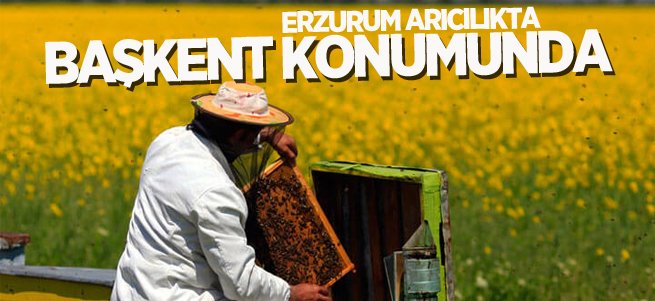 Erzurum arıcılıkta başkent konumunda