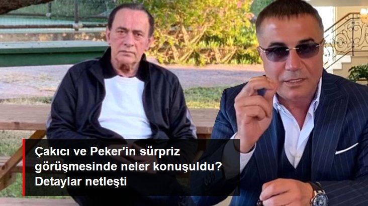 Alaattin Çakıcı ve Sedat Peker görüşmesinin detayları netleşti