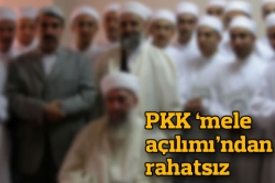 PKK, 'mele açılımı'ndan rahatsız!