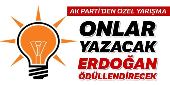 Onlar yazacak Erdoğan ödüllendirecek