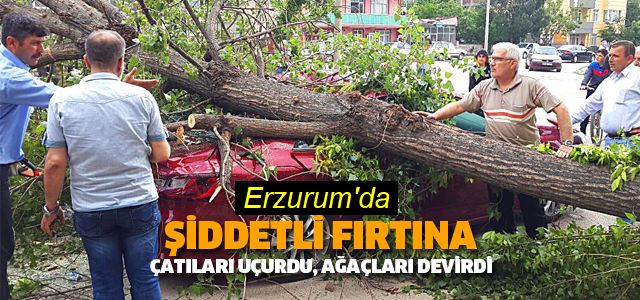 Erzurum'da şiddetli rüzgar çatıları uçurdu, ağaçları devirdi