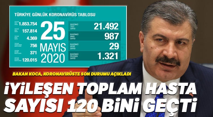 Türkiye'de iyileşen Covid-19 hasta sayısı 120 bini geçti