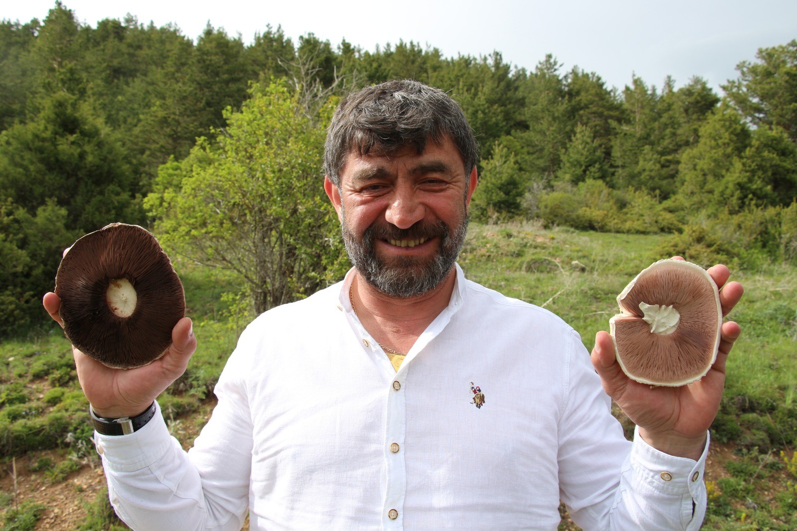 Erzurum'da Kasa kasa mantar topladılar