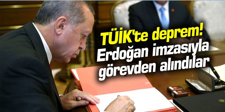 TÜİK'te deprem! Erdoğan imzasıyla görevden alındılar