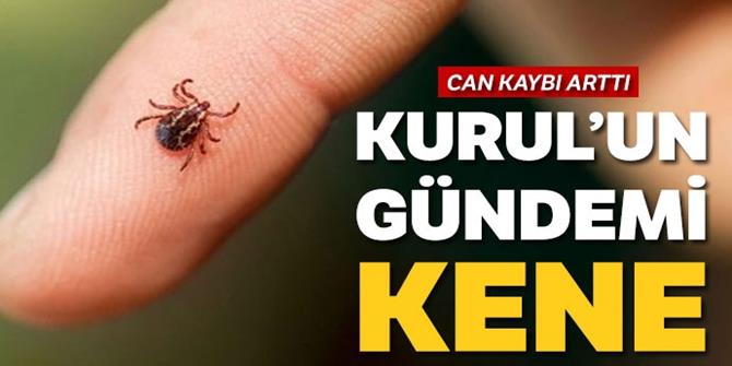 Bu defa kene için toplandılar