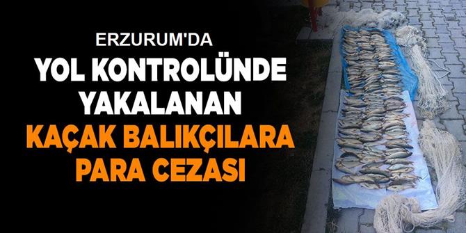 Erzurum'da kaçak balık avlayanlar yakaylandı