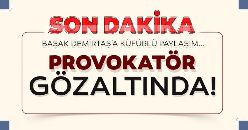 Başak Demirtaş'a küfreden provokatör gözaltına alındı