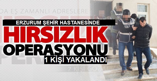 Erzurum'da suçüstü yakalanan zanlı tutuklandı