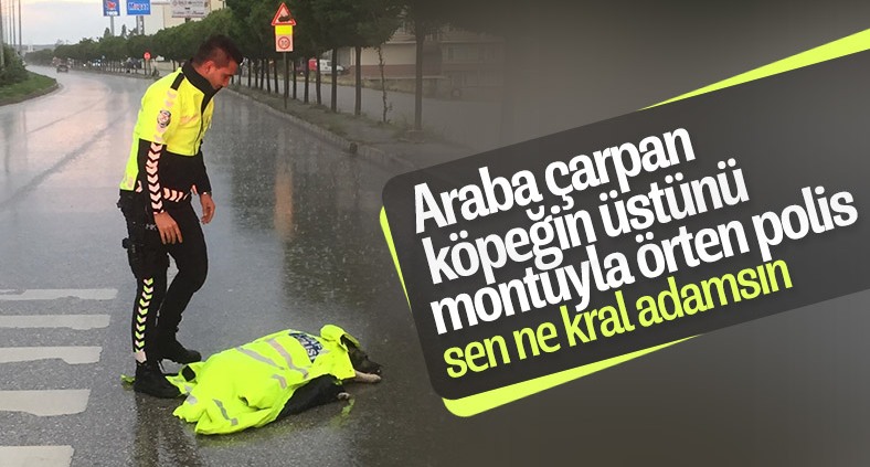Yozgat'ta polis, montuyla köpeği korudu