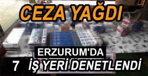 Erzurum'da 7 işyerine para cezası